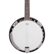 Ibanez B50 5-String Resonator