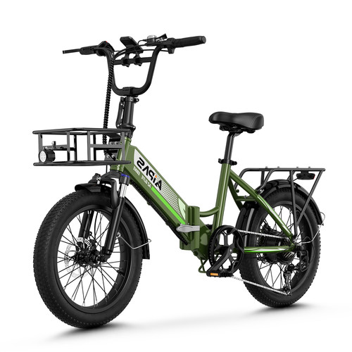 Aipas 750w peak fat tire - aipas, 20"