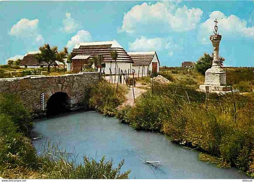 Carte postale camargue - -, 13
