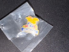 (V16) PINS BADGE ENAMEL