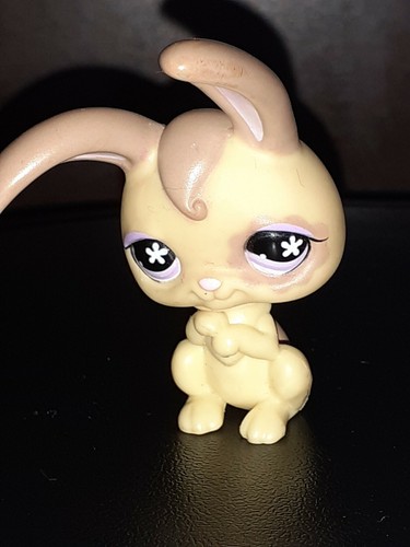 Figurine collection petshop - figurine,