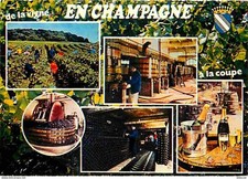 Carte Postale - Vignes - En
