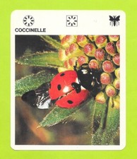 Fiche - Le livre de Paris -