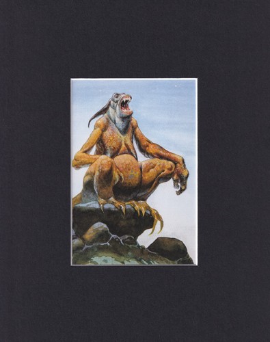 8x10 matted print picture - print,