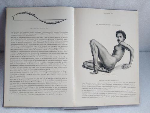 Rare ancien livre - , d'anatomie