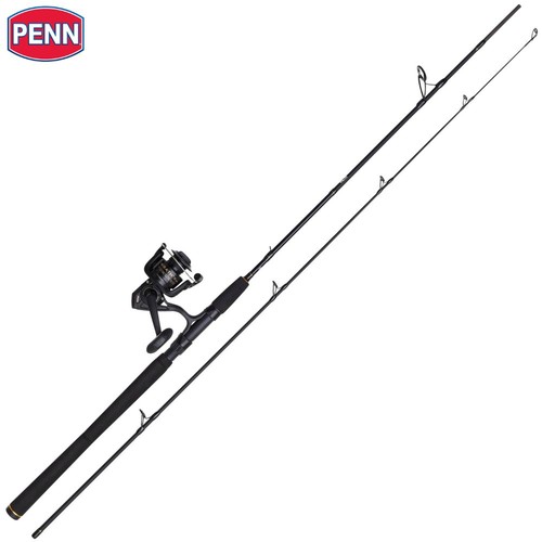 Penn saltwater fishing - penn,