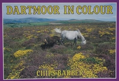 Dartmoor colour barber - dartmoor, colour,