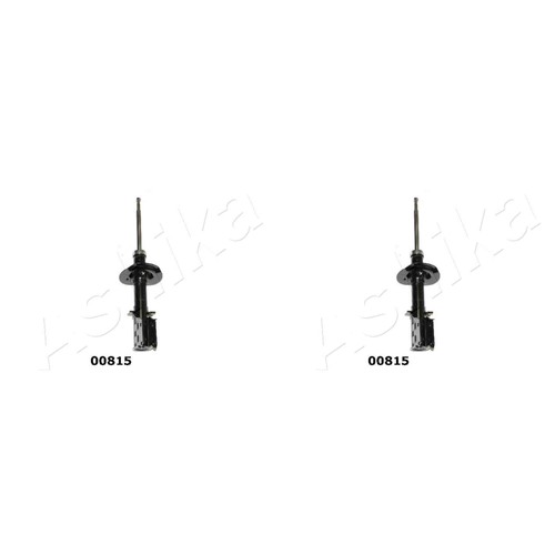 Ashika amortisseurs gauche - 2x,