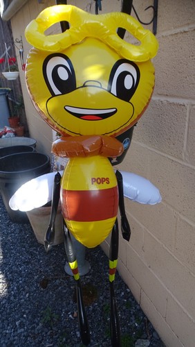 Plv abeille pops miel - pops,