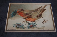 Chromo oiseau couple  , au bon