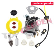 Carburateur pour Moteur de
