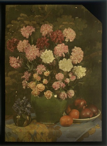 Autochrome 13x18 composition - autochrome,
