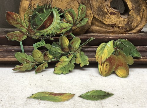 Lot floral chestnut die - lot,