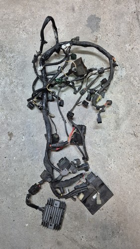 Faisceau électrique 600 gsxr - Électrique,