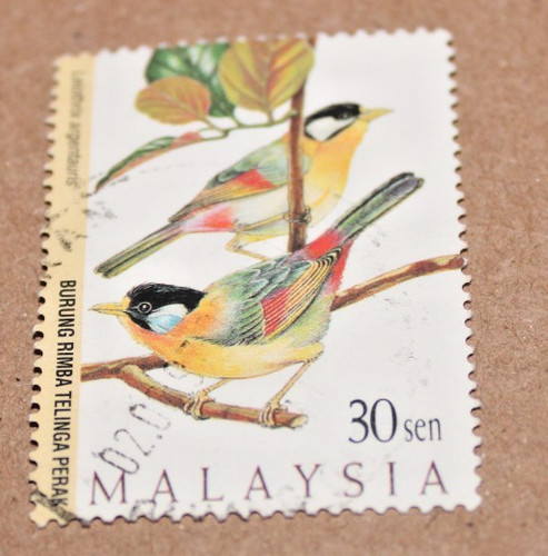 Malaysia 1986 bird - malaysia,