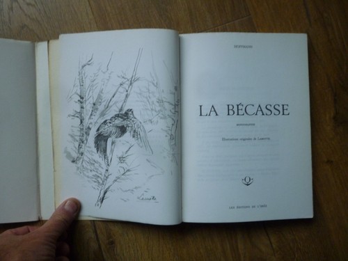 Becasse hoffmann - becasse,