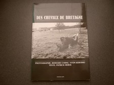 Des chevaux bretagne - des, de