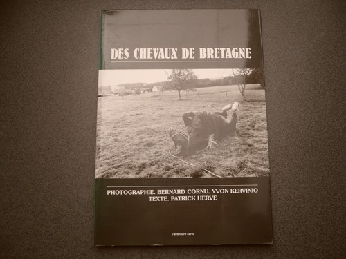 Des chevaux bretagne - des,