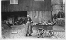 BD681 Carte Photo vintage card RPPC Femme woman charriot fleuri fleurs charrette