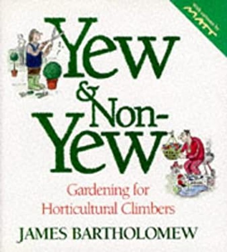 Bois non yew - d'if, et