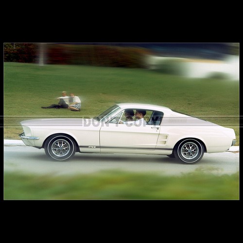 Photo 004014 ford - ford, mustang