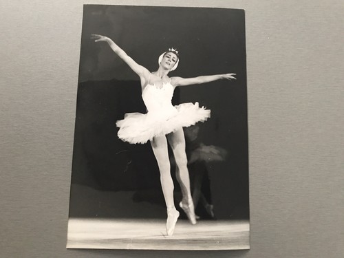 Claire motte - claire,