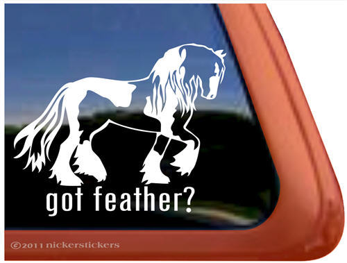 Got feather high quality - got,