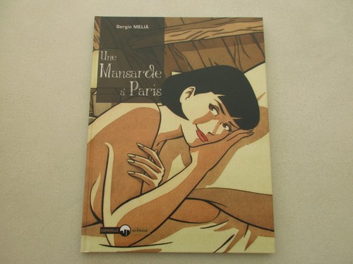 Une mansarde paris ttbe - mansarde, à