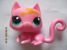 PETSHOP  CHAT SPHYNX N°3555 /