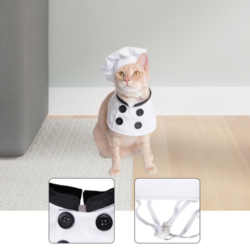 Costume chef pour chien - costume,