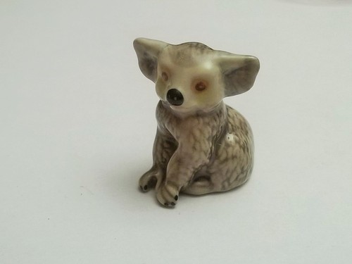 Magnifique koala - magnifique, en