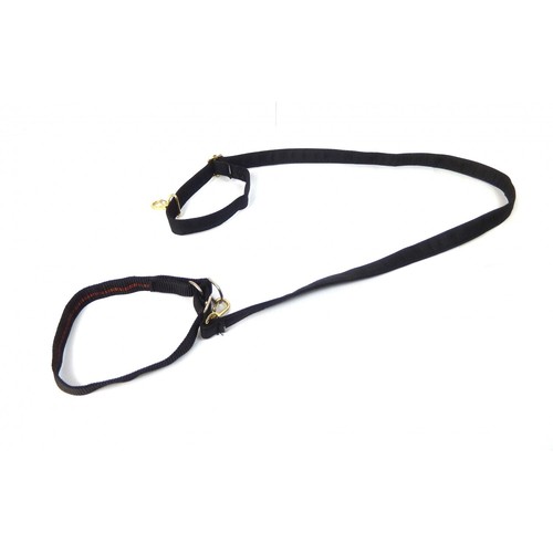 Collier nylon laisse chien - laisse,