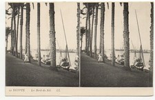EGYPTE - Egypt - Old Postcard - Bord du Nil - Palmiers - carte stéreo