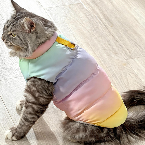 Manteau hiver pour chat - manteau, d'hiver