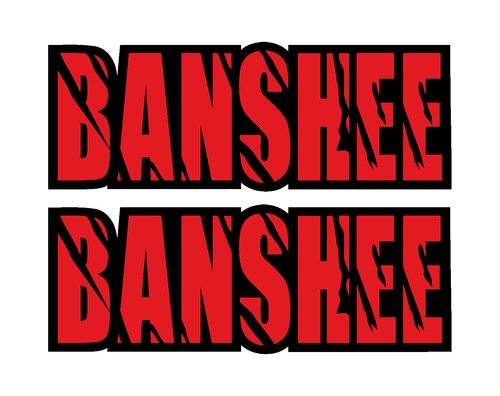 Banshee rear fender - fender, graphics