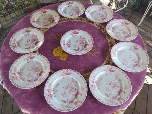 Assiettes plates terre de - 10,