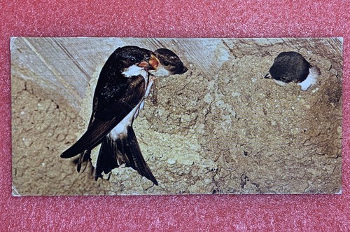 Carte merveilles monde - carte,
