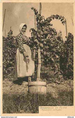 Carte postale ancienne - carte,
