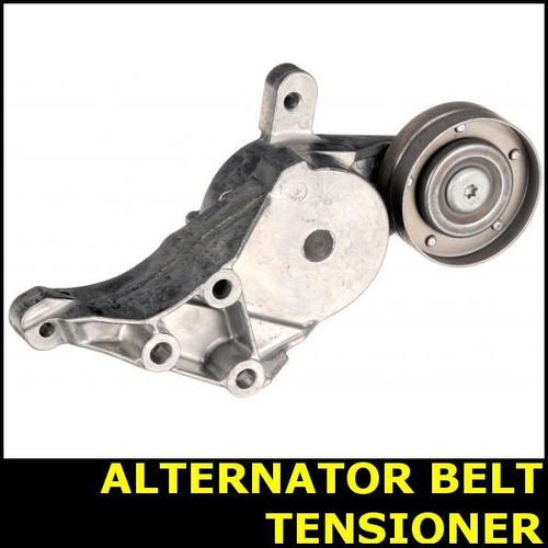 Ribbed belt tensioner - belt,