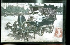 LYON ATTELAGE AUX CHEVRES