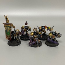 Gris Chevalier Paladin