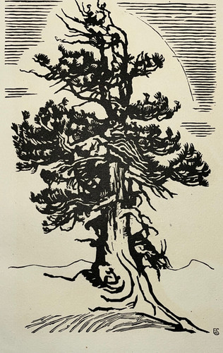 Arbre gravure bois françois - arbre,