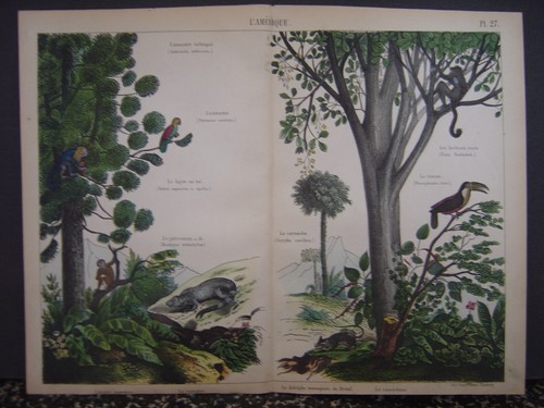Image lithographie fasoli - lithographie, et
