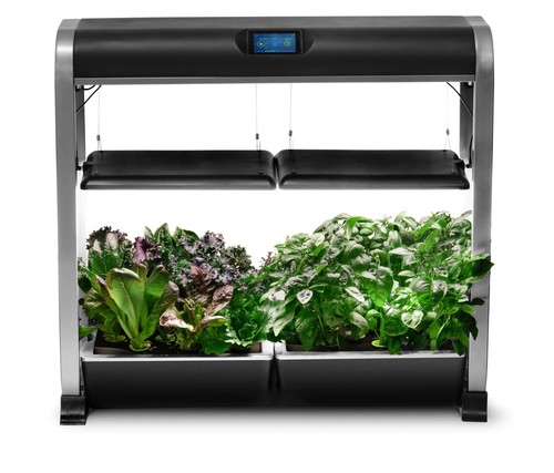 Aerogarden farm plus - aerogarden,