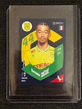 STICKER PANINI FOOT 2024