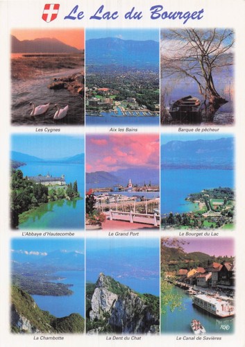 Les cygnes lac - les,