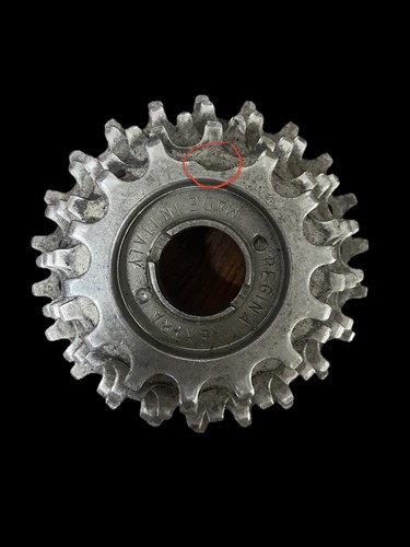 Roue libre regina extra - roue,