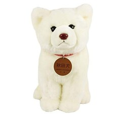 Akita dog white fur sitting