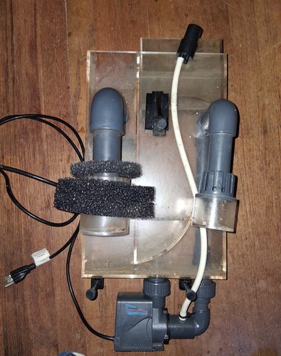 Used reef octopus - reef, octo