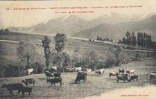 SAINT-PIERRE-DES-FORCATS 23 troupeau de vaches pic cambre-d'aze fromage